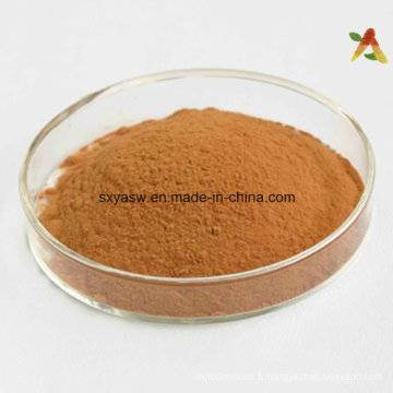 Acide tannique naturel N ° CAS 1401-55-4 Extrait de Galla Chinensis